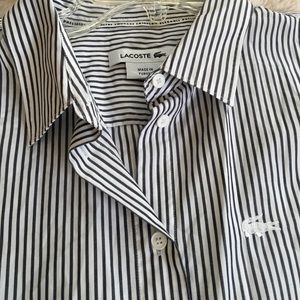 LACOSTE button down stripe tailor shirt